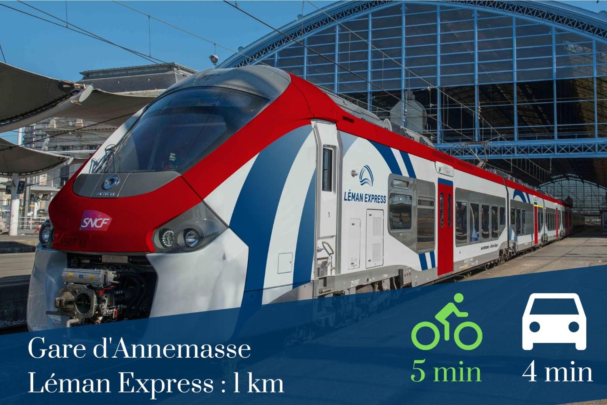 Homey Colibri - New / Free Parking/ Proche Gare Annemasse / Aux Portes De Genevegeneve エクステリア 写真